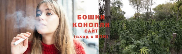 прущие грибы Беломорск
