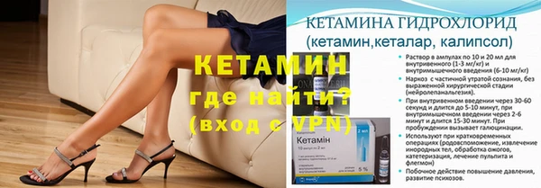 прущие грибы Беломорск