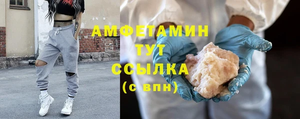 прущие грибы Беломорск