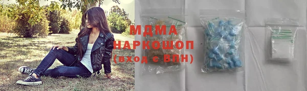 прущие грибы Беломорск