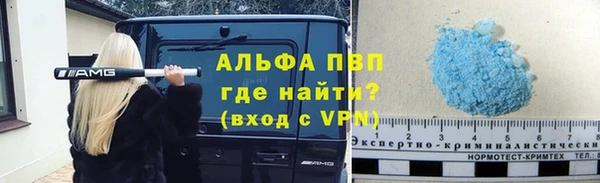 прущие грибы Беломорск