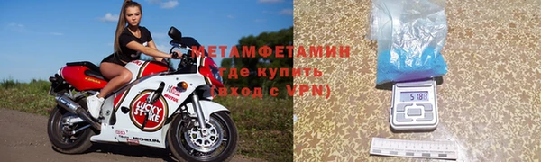 прущие грибы Беломорск