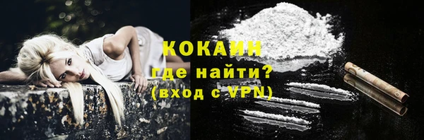соль ск Белокуриха