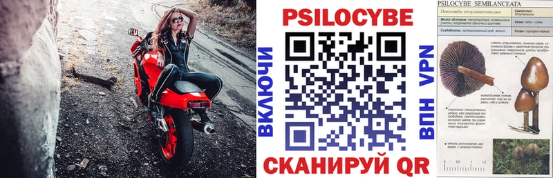 OMG вход  Верхотурье  Псилоцибиновые грибы мухоморы 