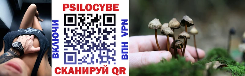 Псилоцибиновые грибы GOLDEN TEACHER Верхотурье